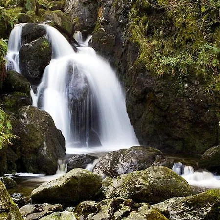 The Angus Gasthuis Carlisle (Cumbria)